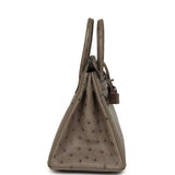 Hermes Birkin 25 Mousse Ostrich Boreal Palladium Hardware - Thumbnail View 3