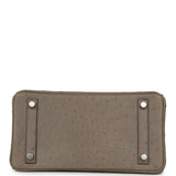 Hermes Birkin 25 Mousse Ostrich Boreal Palladium Hardware - Thumbnail View 6