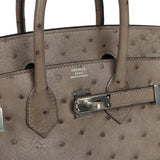 Hermes Birkin 25 Mousse Ostrich Boreal Palladium Hardware - Thumbnail View 7