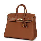 Hermes Birkin 25 Gold Togo Gold Hardware Payment 1 of 2 for PL - Thumbnail View 5