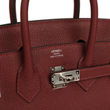 Hermes Birkin 25 Rouge H Togo Palladium Hardware - Thumbnail View 7
