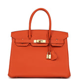 Pre-owned Hermes Birkin 30 Feu Togo Gold Hardware - Thumbnail View 1