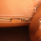 Hermes Birkin Sellier 25 Gold Epsom Gold Hardware - Thumbnail View 9