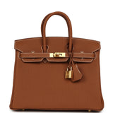 Hermes Birkin 25 Gold Togo Gold Hardware - Thumbnail View 1
