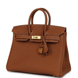 Hermes Birkin 25 Gold Togo Gold Hardware - Thumbnail View 5