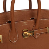 Hermes Birkin 25 Gold Togo Gold Hardware - Thumbnail View 7