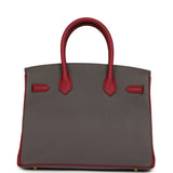 Hermes Special Order (HSS) Birkin 30 Etain and Rouge Grenat Togo Gold Hardware - Thumbnail View 4