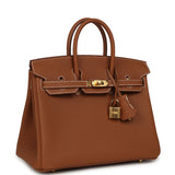 Hermes Birkin 25 Gold Togo Gold Hardware - Thumbnail View 2