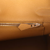 Hermes Birkin 30 Bronze Dore Togo Palladium Hardware - Thumbnail View 9