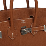 Hermes Birkin 25 Gold Togo Palladium Hardware - Thumbnail View 7