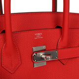 Hermes Birkin 30 Rouge de Coeur Togo Palladium Hardware - Thumbnail View 7