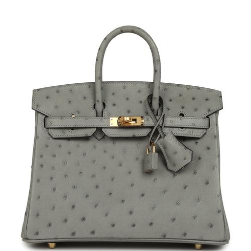Hermes Birkin 25 Bleu Glacier Ostrich Gold Hardware