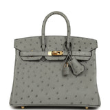 Hermes Birkin 25 Bleu Glacier Ostrich Gold Hardware - Thumbnail View 1