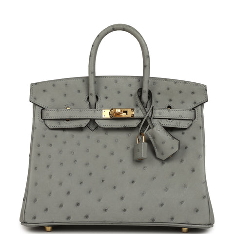 Hermes Birkin 25 Bleu Glacier Ostrich Gold Hardware