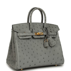 Hermes Birkin 25 Bleu Glacier Ostrich Gold Hardware