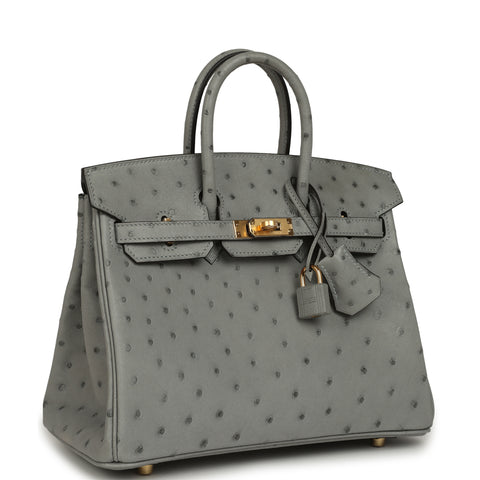 Hermes Birkin 25 Bleu Glacier Ostrich Gold Hardware