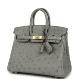 Hermes Birkin 25 Bleu Glacier Ostrich Gold Hardware - Thumbnail View 5