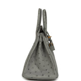 Hermes Birkin 25 Bleu Glacier Ostrich Gold Hardware - Thumbnail View 3