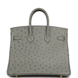 Hermes Birkin 25 Bleu Glacier Ostrich Gold Hardware - Thumbnail View 4