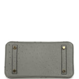 Hermes Birkin 25 Bleu Glacier Ostrich Gold Hardware - Thumbnail View 6