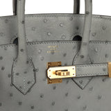 Hermes Birkin 25 Bleu Glacier Ostrich Gold Hardware - Thumbnail View 7