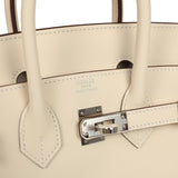 Hermes Birkin 25 Nata Swift Palladium Hardware - Thumbnail View 7