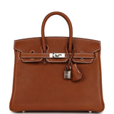 Hermes Birkin 25 Fauve Barenia Faubourg Palladium Hardware - Thumbnail View 1
