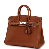 Hermes Birkin 25 Fauve Barenia Faubourg Palladium Hardware - Thumbnail View 5