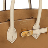 Hermes Special Order (HSS) Birkin 25 Biscuit and Craie Togo Brushed Gold Hardware - Thumbnail View 7