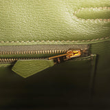 Hermes Birkin 25 Vert Veronese Shiny Niloticus Crocodile Gold Hardware - Thumbnail View 9