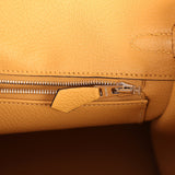 Hermes Birkin 25 Paille Togo Palladium Hardware - Thumbnail View 9