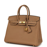 Hermes Birkin 25 Chai Togo Gold Hardware - Thumbnail View 5