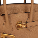 Hermes Birkin 25 Chai Togo Gold Hardware - Thumbnail View 7