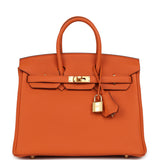 Hermes Birkin 25 Orange Togo Gold Hardware - Thumbnail View 1