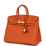Hermes Birkin 25 Orange Togo Gold Hardware - Thumbnail View 5
