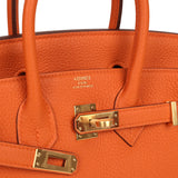 Hermes Birkin 25 Orange Togo Gold Hardware - Thumbnail View 7