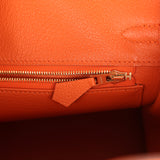 Hermes Birkin 25 Orange Togo Gold Hardware - Thumbnail View 9