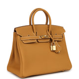 Hermes Birkin 25 Naturel Sable Togo Gold Hardware - Thumbnail View 2