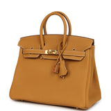 Hermes Birkin 25 Naturel Sable Togo Gold Hardware - Thumbnail View 5