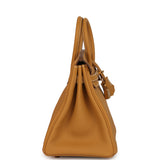 Hermes Birkin 25 Naturel Sable Togo Gold Hardware - Thumbnail View 3