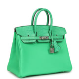 Hermes Birkin 25 Vert Comics Togo and Matte Alligator Touch Palladium Hardware - Thumbnail View 2