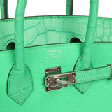 Hermes Birkin 25 Vert Comics Togo and Matte Alligator Touch Palladium Hardware - Thumbnail View 7