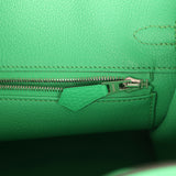 Hermes Birkin 25 Vert Comics Togo and Matte Alligator Touch Palladium Hardware - Thumbnail View 9