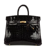 Hermes Birkin 25 Prunoir Shiny Niloticus Crocodile Gold Hardware - Thumbnail View 1