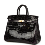 Hermes Birkin 25 Prunoir Shiny Niloticus Crocodile Gold Hardware - Thumbnail View 5