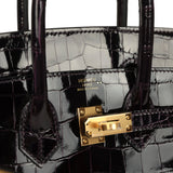 Hermes Birkin 25 Prunoir Shiny Niloticus Crocodile Gold Hardware - Thumbnail View 7
