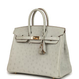 Hermes Birkin 25 Gris Perle Ostrich Gold Hardware - Thumbnail View 5