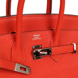 Pre-owned Hermes Birkin 25 Capucine Togo Palladium Hardware - Thumbnail View 7