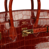 Pre-owned Hermes Birkin 25 Étrusque Shiny Niloticus Crocodile Gold Hardware - Thumbnail View 7