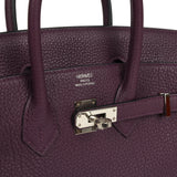 Pre-owned Hermes Birkin 25 Raisin Togo Palladium Hardware - Thumbnail View 7